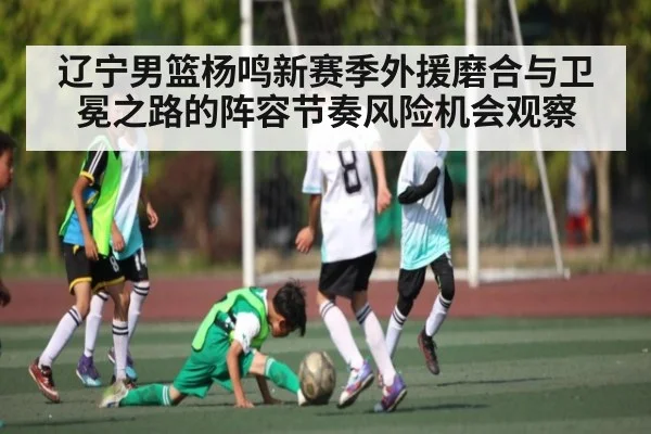 辽宁男篮杨鸣新赛季外援磨合与卫冕之路的阵容节奏风险机会观察